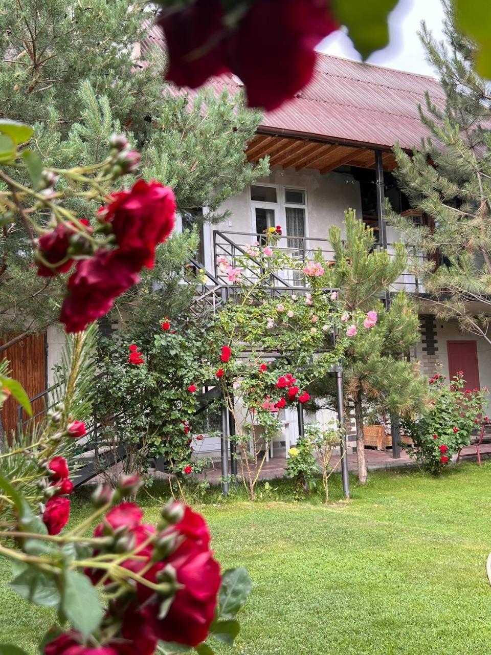 Podsolnukhi Guest House Cholpon-Ata Luaran gambar